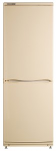 ATLANT ХМ 4012-081 Tủ lạnh ảnh