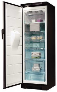 Electrolux EUFG 2900 X 冰箱 照片