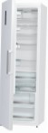 Gorenje R 6191 SW Refrigerator