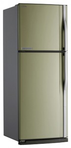 Toshiba GR-R59FTR SC Холодильник фотография