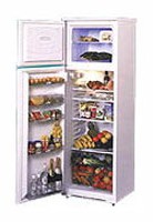 NORD 244-6-330 Холодильник фотография