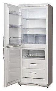 Snaige RF300-1801A Tủ lạnh ảnh