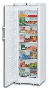 Liebherr GN 28530 Холодильник фотография