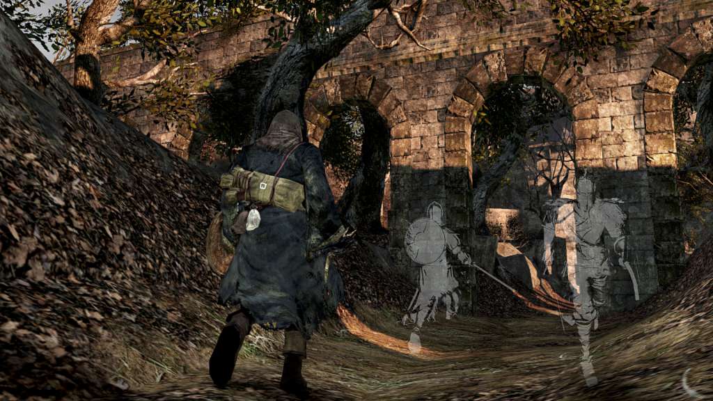 Dark Souls II Steam Account 19.21 usd