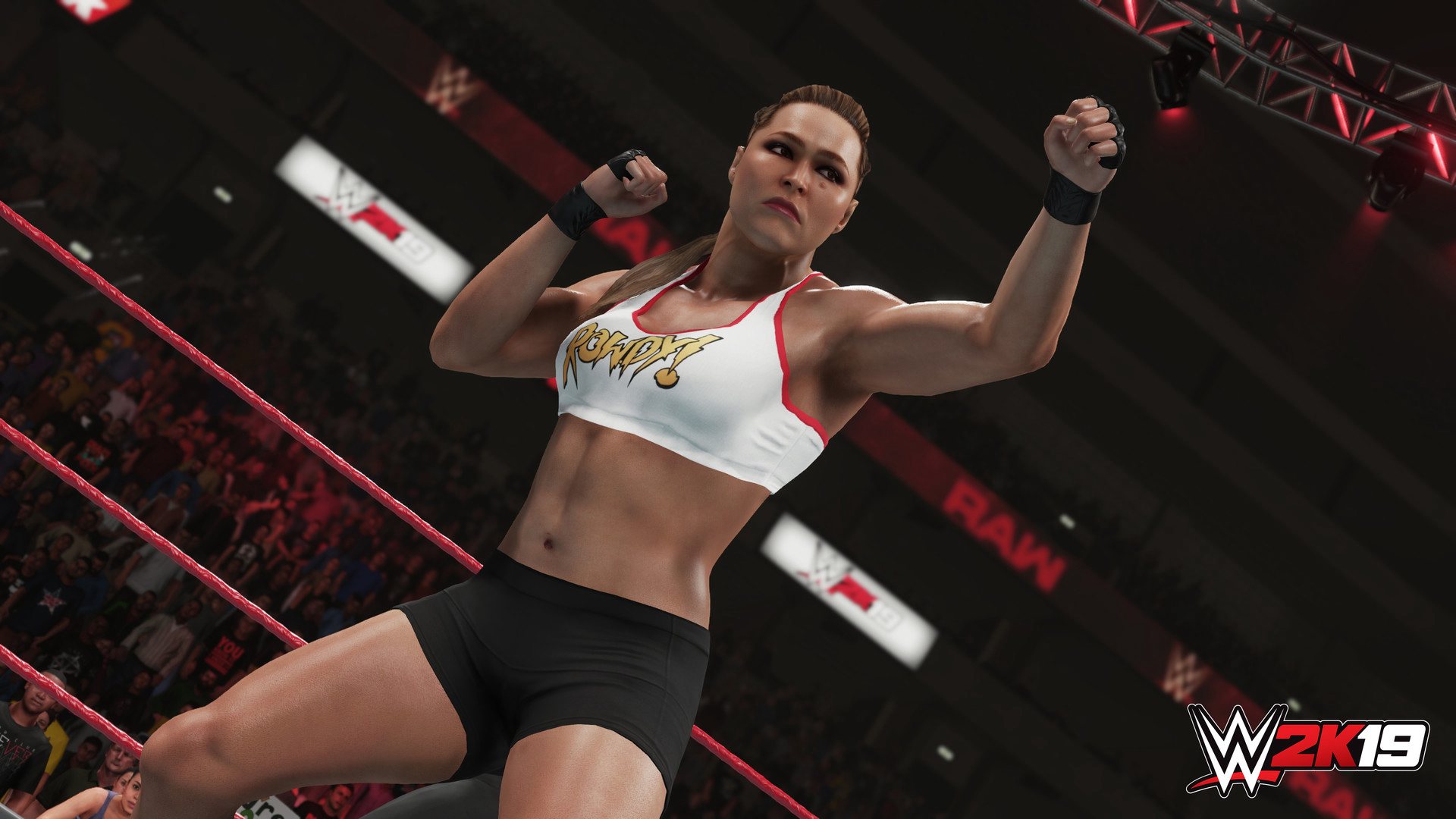 WWE 2K19 PlayStation 4 Account pixelpuffin.net Activation Link 15.81 usd