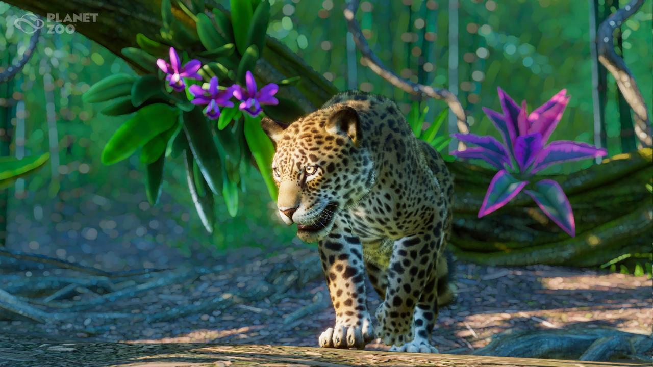 Planet Zoo - South America Pack DLC Steam Altergift 12.5 usd