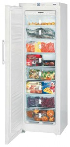Liebherr GNP 3056 Tủ lạnh ảnh
