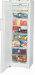 Liebherr GNP 3056 Холодильник