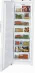 Liebherr GN 4113 Холодильник