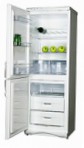 Snaige RF310-1T03A Tủ lạnh