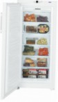 Liebherr GN 3113 Холодильник