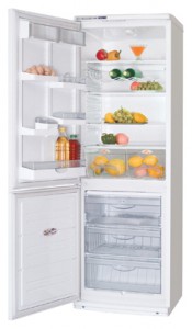 ATLANT ХМ 5091-016 Tủ lạnh ảnh