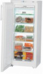 Liebherr GN 2303 Холодильник