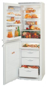 ATLANT МХМ 1818-21 Refrigerator larawan