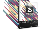 WebSite X5 Professional CD Key 192.43 usd