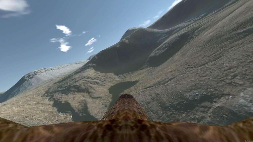 Aquila Bird Flight Simulator Steam CD Key 1.45 usd