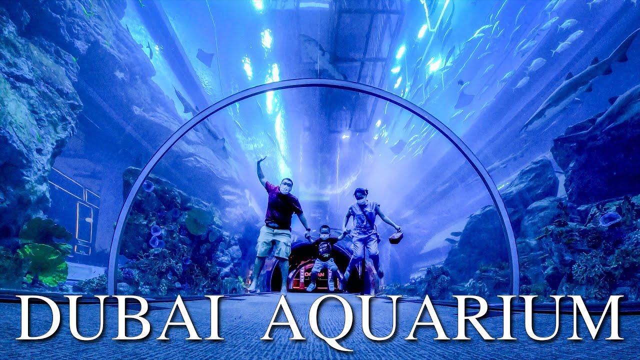 Dubai Aquarium & Underwater Zoo 50 AED Gift Card AE 16.02 usd